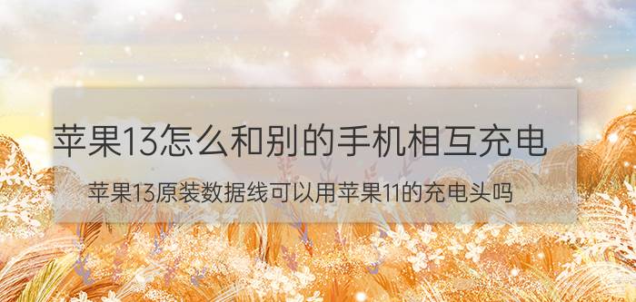 苹果13怎么和别的手机相互充电 苹果13原装数据线可以用苹果11的充电头吗？